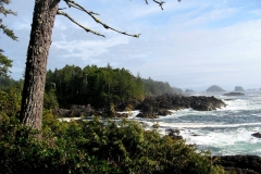 Ucluelet, Vancouver Island, British Columbia