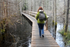 Smuggler Cove, Sunshine Coast, British Columbia