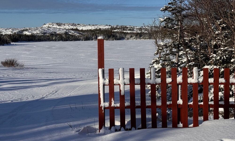 Life in Winter